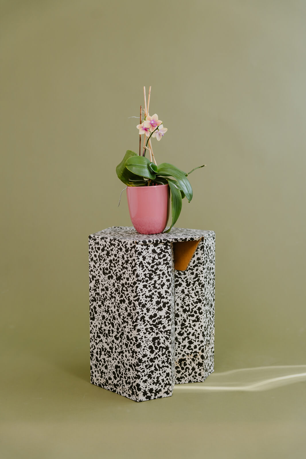 ©AnnaSommerfeld_Fotostudio Sommerfeld-07934